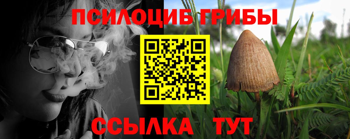 Псилоцибиновые грибы мухоморы Энгельс